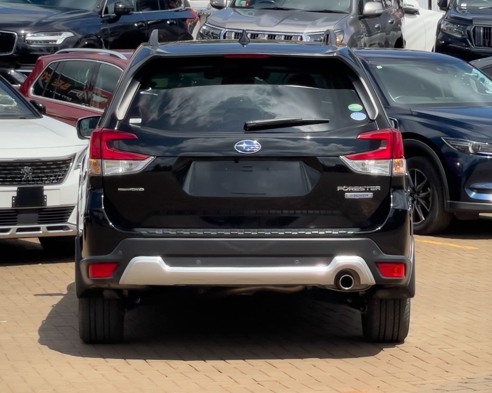 2019 SUBARU FORESTER E-BOXER thumbnail 5